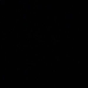 Meet your Posher, Shane